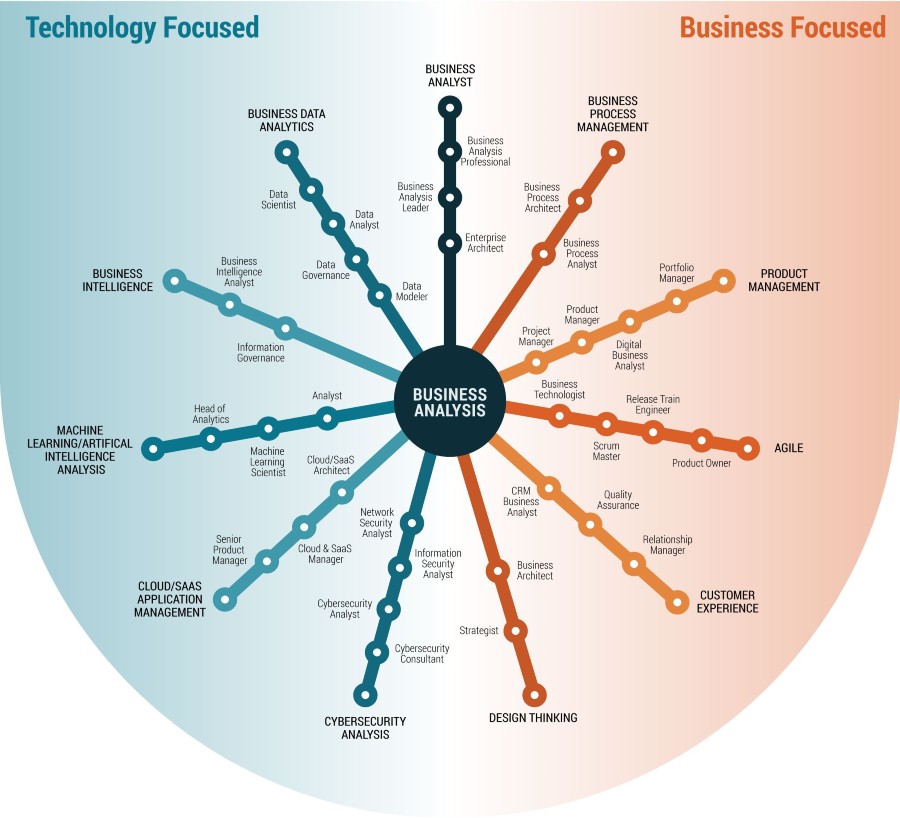 Business Analyst Professional Growth