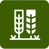 Food Producers & Processors