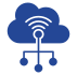 IoT service providers