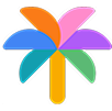 palm